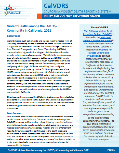 Sexual Oreintation and Gender Identity Brief (PDF)
